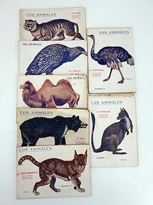 LOS ANIMALES 4 5 7 8 9 14. LOTE DE 7. GATO MONTÉS, ÁGUILA, TIGRE, OSO, CANGURO? (Vvaa) 1919