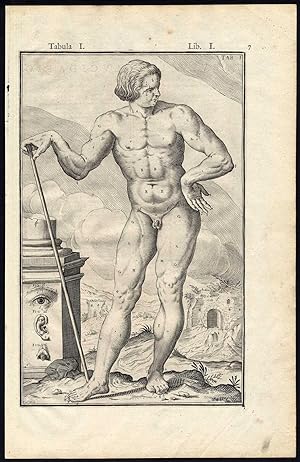 2 Rare Antique Anatomical Prints-MAN-NAKED-MODEL-Spigelius-Casserius-1645