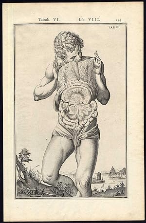 2 Anatomical Prints-ABDOMINAL CAVITY-INTESTINE-MAN-Spigelius-Casserius-1645