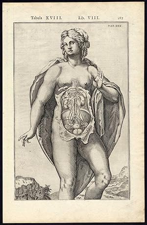 2 Anatomical Prints-ABDOMINAL CAVITY-WOMB-BLADDER-WOMAN-Spigelius-Casserius-1645