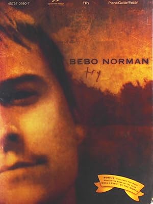 Seller image for Bebo Norman: Try for sale by Leserstrahl  (Preise inkl. MwSt.)