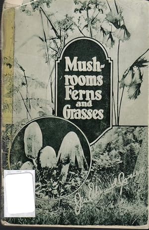 Seller image for Mushrooms Ferns and Grasses for sale by Ron Barrons