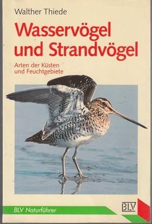 Seller image for Wasservgel und Strandvgel. Arten der Ksten und Feuchtgebiete for sale by Graphem. Kunst- und Buchantiquariat