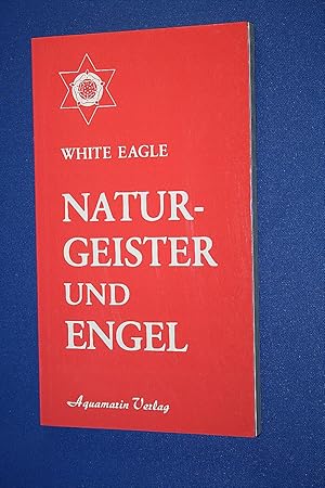 Naturgeister und Engel : d. verborgene Leben d. Naturgeister u. Engelwesen u. deren Zsarb. mit d....