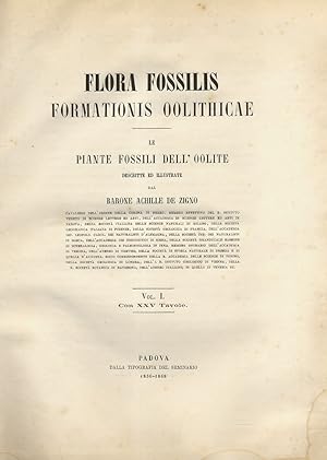 Flora Fossilis formationis Oolithicae. Le piante fossili dell'Oolite descritte e illustrate da Ac...