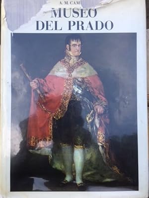 Seller image for Museo Del Prado for sale by Walden Books