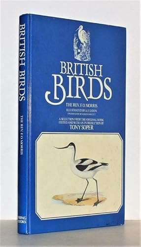 British birds. The Rev. F. O. Morris. A selection from the original work edited and with an intro...