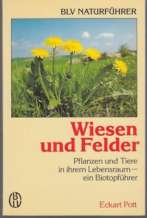 Seller image for Wiesen und Felder. Pflanzen und Tiere in ihrem Lebensraum. Ein Biotopfhrer for sale by Graphem. Kunst- und Buchantiquariat