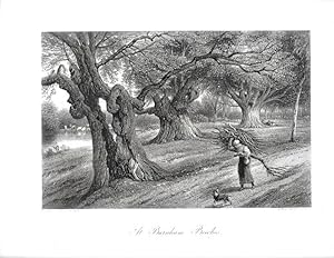 Seller image for AT BURNHAM BEECHES, Illustration for sale by Legacy Books