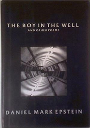 Bild des Verkufers fr The Boy in the Well: And Other Poems zum Verkauf von knew_4_you