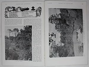 Original Issue of Country Life Magazine Dated December 9th 1899, with a Main Feature on Abbotsbur...