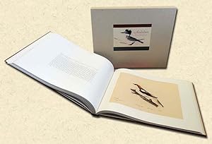 Seller image for Audubon Early Drawings for sale by lamdha books