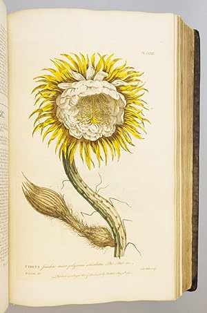 FIGURES OF THE MOST BEAUTIFUL, USEFUL, AND UNCOMMON PLANTS DESCRIBED IN THE GARDENER'S DICTIONARY