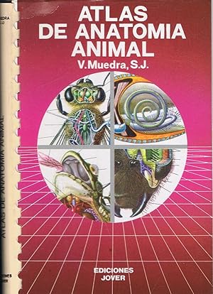 Imagen del vendedor de ATLAS DE ANATOMA ANIMAL a la venta por Librera Torren de Rueda