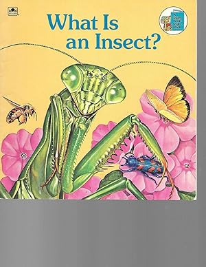 Seller image for What Is an Insect? (Golden Look-Look Book) for sale by TuosistBook