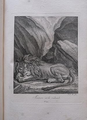 ENTWURF EINIGER THIERE. Fine engravings of animals.