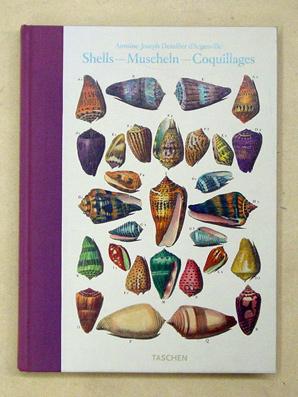 Shells. Muscheln. Coquillages. Conchology of the Natural History of Sea, Freshwater, Terrestrial ...