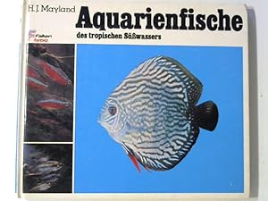 Aquarienfische des tropischen Süßwassers.