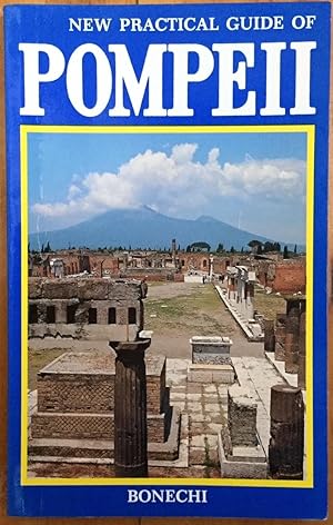 Bild des Verkufers fr New Practical Guide of Pompeii zum Verkauf von Molly's Brook Books