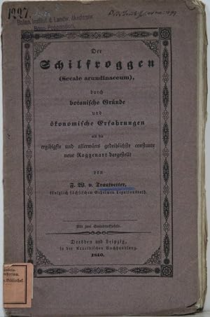 Der Schilfroggen (Secale arundinaceum), durch botanische Gründe und ökonomische Erfahrungen als d...