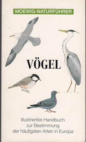 Seller image for Vgel (= Moewig-Naturfhrer) for sale by Graphem. Kunst- und Buchantiquariat