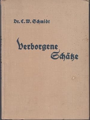 Imagen del vendedor de Verborgene Schtze Wunder und Kuriosa Deutschland- neu gesehen. Mit 170 Aufnahmen des Verfassers a la venta por Graphem. Kunst- und Buchantiquariat