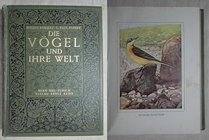 Image du vendeur pour Die Vgel und ihre Welt. mis en vente par Antiquariat Hanfgarten