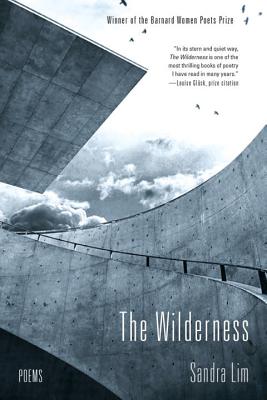 Bild des Verkufers fr The Wilderness (Paperback or Softback) zum Verkauf von BargainBookStores