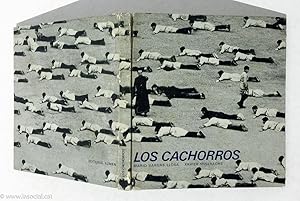 Seller image for Los cachorros for sale by La Social. Galera y Libros