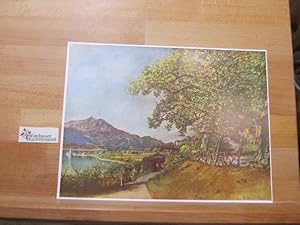 Seller image for Der Wolfgangsee for sale by Antiquariat im Kaiserviertel | Wimbauer Buchversand