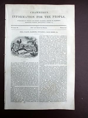 Immagine del venditore per Chambers's Information for the People, 1842, No 80, PIGS, GOATS, RABBITS, POULTRY, CAGE BIRDS. venduto da Tony Hutchinson