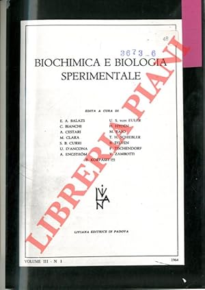 Seller image for Ricerche sull'accrescimento del muscolo nucale (M. complexus) nell'embrione di pollo. for sale by Libreria Piani