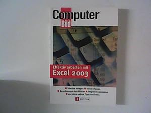 Effektiv arbeiten mit Excel 2003 : Computer-Bild.