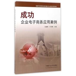 Image du vendeur pour Successful Enterprise E-business application case(Chinese Edition) mis en vente par liu xing