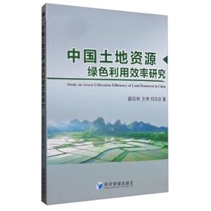 Seller image for Study on green utilization efficiency of land resources in China(Chinese Edition) for sale by liu xing