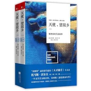 Imagen del vendedor de Angel. looking home: The Buried Life Story (Set 2 volumes)(Chinese Edition) a la venta por liu xing