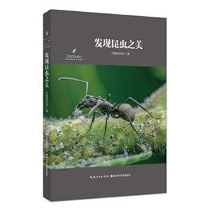 Seller image for Discover the beauty of insects(Chinese Edition) for sale by liu xing