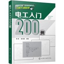 Seller image for 200 examples of Electrician's introduction(Chinese Edition) for sale by liu xing