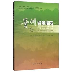 Seller image for Karst collapse in Guizhou province(Chinese Edition) for sale by liu xing