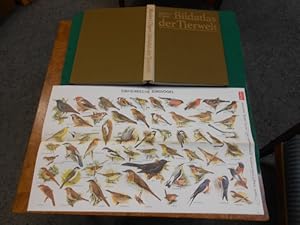 Seller image for Reader's-Digest-Bildatlas der Tierwelt. [Beratende Redakteure: l. Harrison Matthews u. a. Beratende Zoologen: Michael Boorer; John F. Oates. Mitarbeiter: A. Blair-Rains, A. J. Craig u. a. Ins Deutsche bertragen und bearbeitet von Herta und Karl Wilhelm Harde. Die Zeichnungen und Diagramme in diesem Buch schufen: P. L. Church u. a.] for sale by Galerie  Antiquariat Schlegl