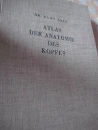 Atlas der Anatomie des Kopfes mit einem Anhand über Brust- und Bauchhöhle