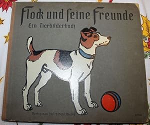 Flock und seine Freunde Ein Tierbilderbuch