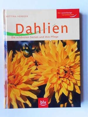 Dahlien : Die schönsten Sorten und ihre Pflege.