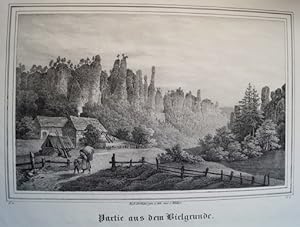 Partie aus dem Bielgrunde. Original Lithographie von C. Müller. Um 1840. Blattgröße: ca. 19 x 28 cm.