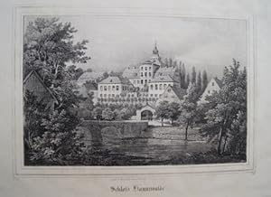 Schloss Hainewalde. Original Lithographie von C.W Arldt. Um 1840. Blattgröße: ca. 19 x 28 cm.