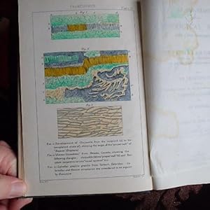 An Old Chapter of the Geological Record With a New Interpretation: Or, Rock-Metamorphism (Especia...