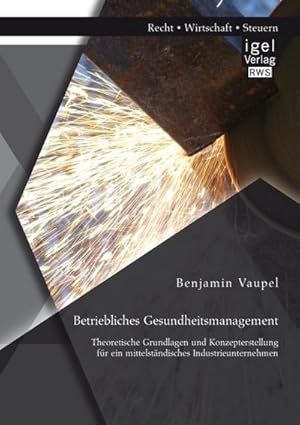 Seller image for Betriebliches Gesundheitsmanagement: Theoretische Grundlagen und Konzepterstellung fr ein mittelstndisches Industrieunternehmen for sale by AHA-BUCH GmbH