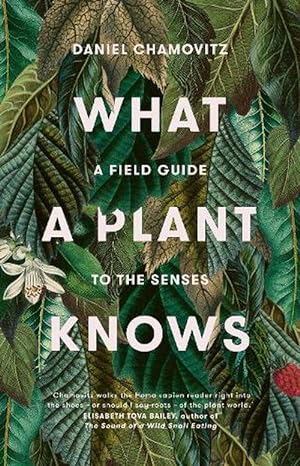 Imagen del vendedor de What a Plant Knows: A Field Guide to the Senses (Revised Edition) (Paperback) a la venta por Grand Eagle Retail
