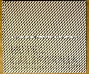 Immagine del venditore per Hotel California. Desiree Dolron, Thomas Wrede venduto da Antiquariat Bernhard