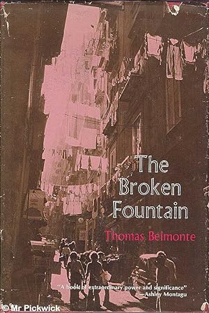 The Broken Fountain